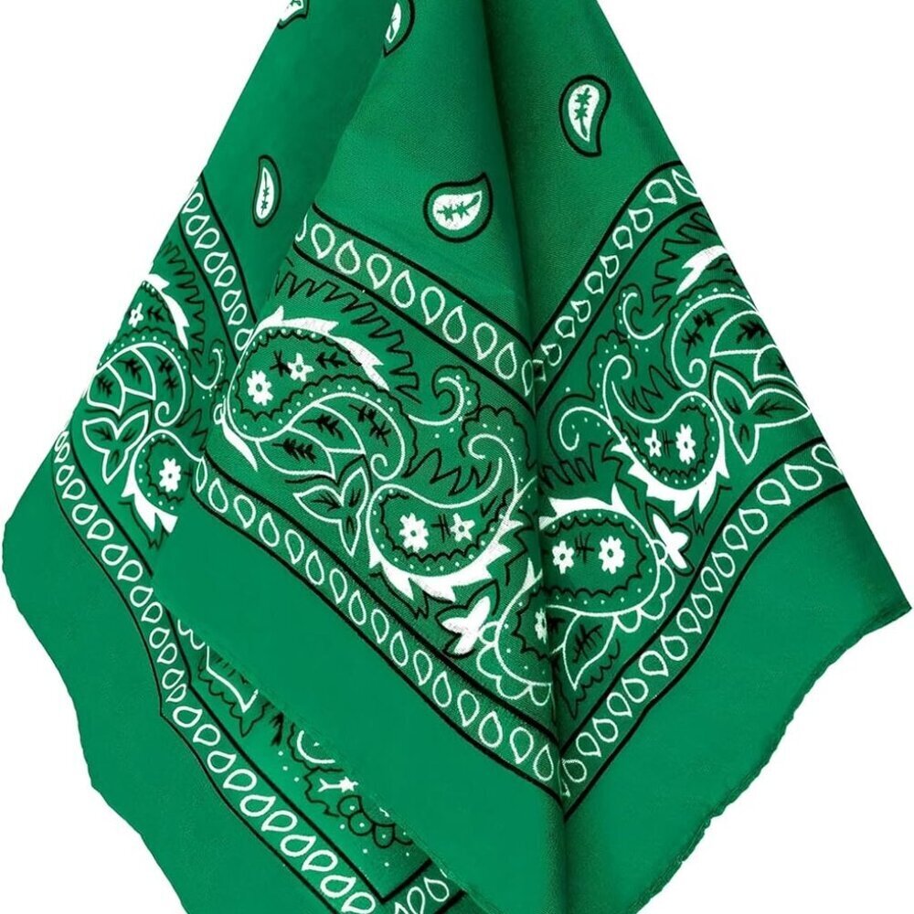 womens Paisley Bandana